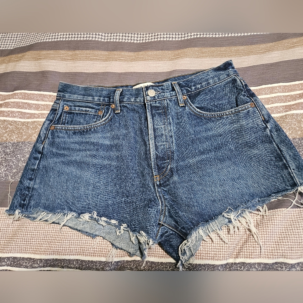 Agolde Button Fly Short